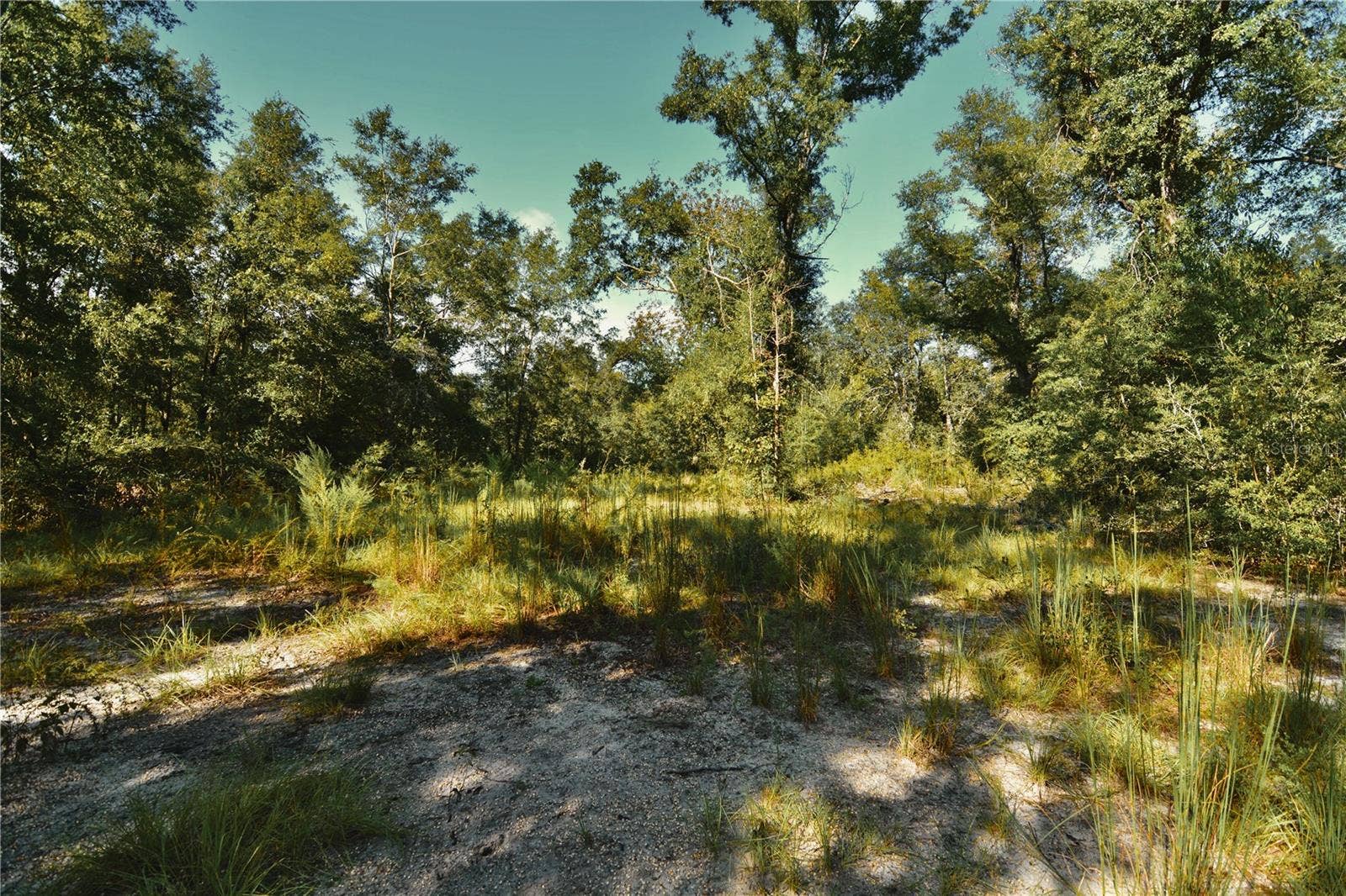 00 SW 40TH AVE, Jasper, FL 32052 00 SW 40TH AVE, Jasper, FL 32052