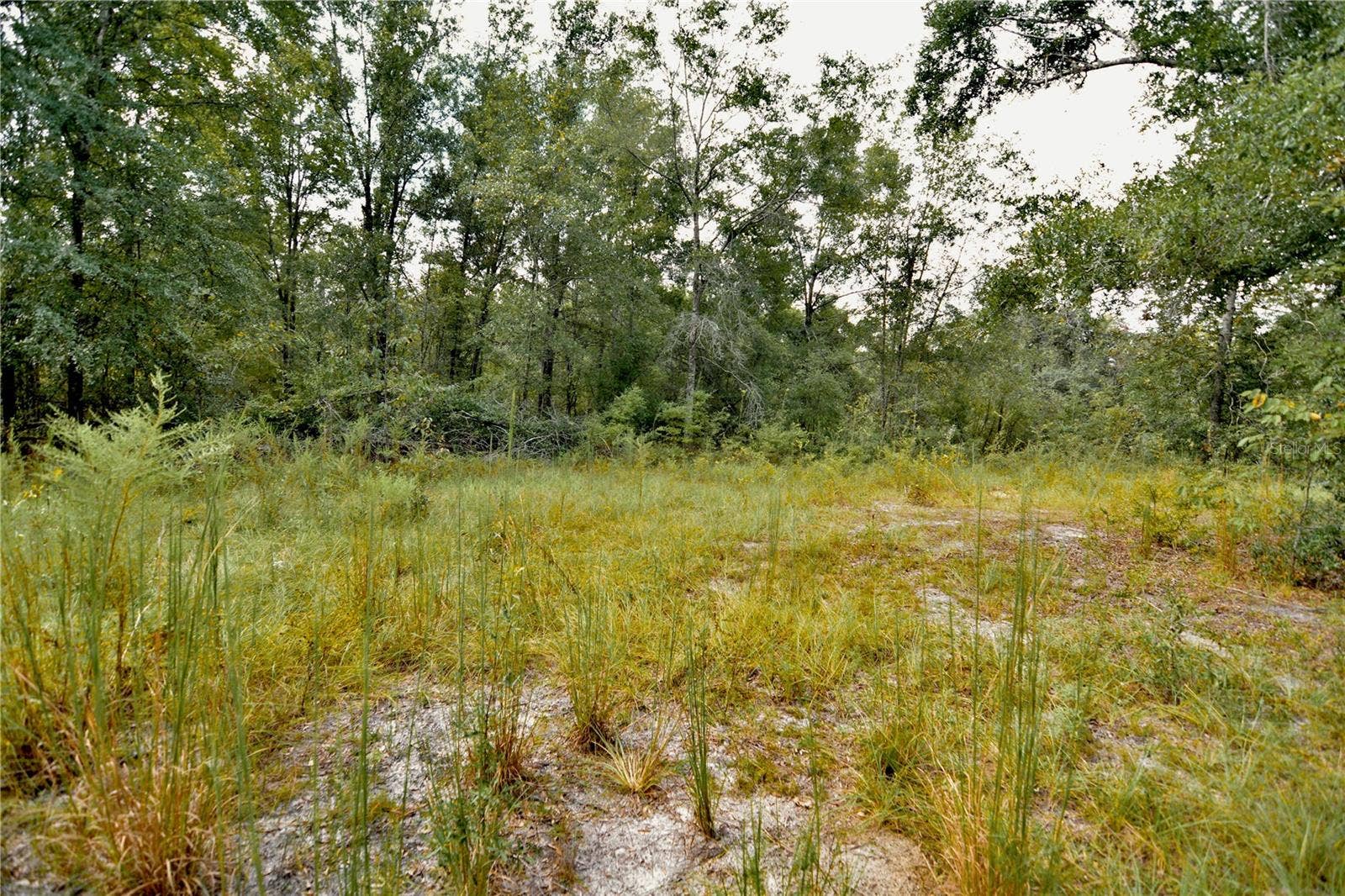 00 SW 40TH AVE, Jasper, FL 32052 00 SW 40TH AVE, Jasper, FL 32052