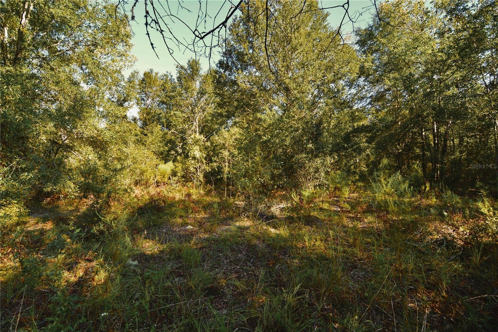 00 SW 40TH AVE, Jasper, FL 32052 00 SW 40TH AVE, Jasper, FL 32052