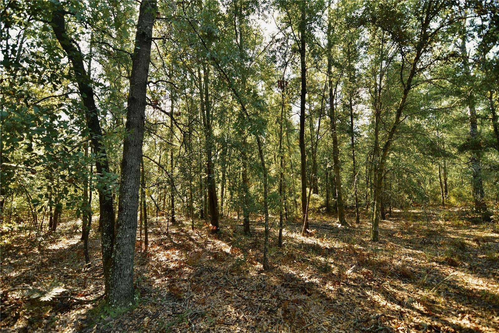 00 SW 40TH AVE, Jasper, FL 32052 00 SW 40TH AVE, Jasper, FL 32052