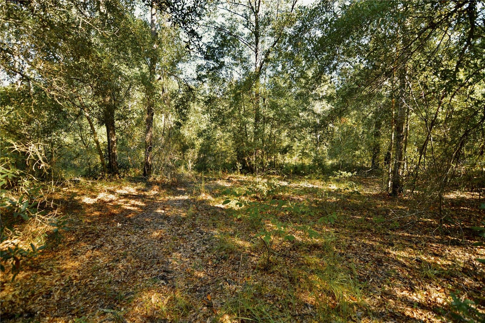 00 SW 40TH AVE, Jasper, FL 32052 00 SW 40TH AVE, Jasper, FL 32052