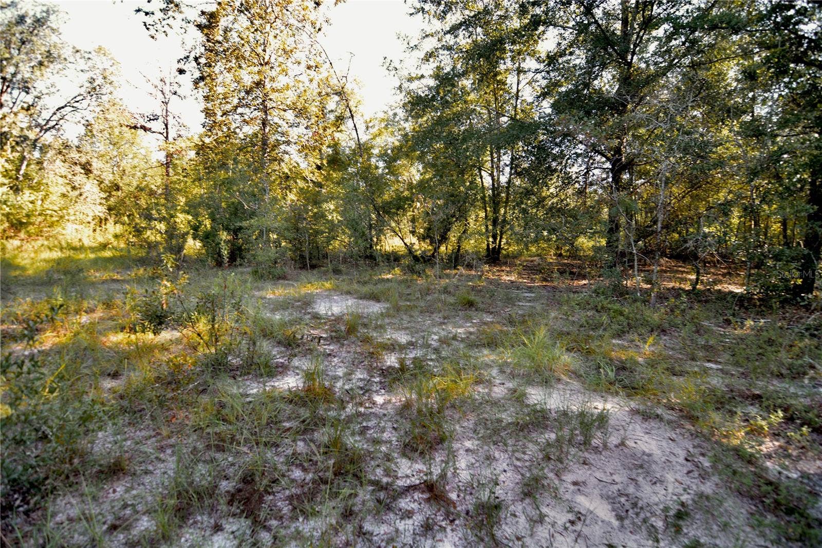 00 SW 40TH AVE, Jasper, FL 32052 00 SW 40TH AVE, Jasper, FL 32052