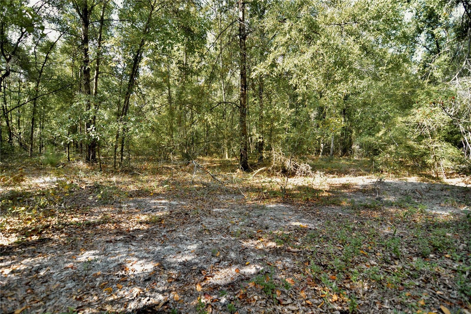 00 SW 40TH AVE, Jasper, FL 32052 00 SW 40TH AVE, Jasper, FL 32052