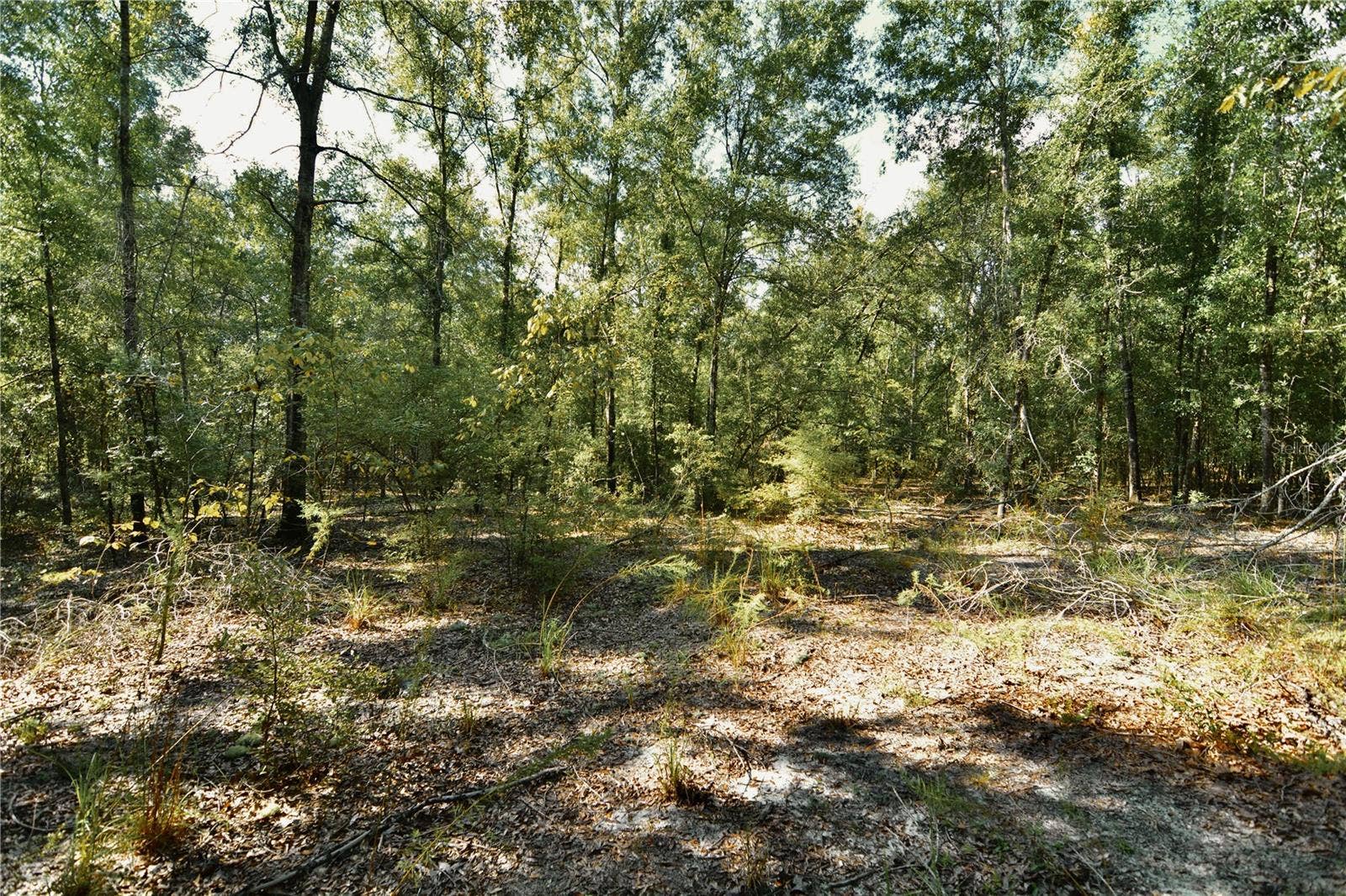 00 SW 40TH AVE, Jasper, FL 32052 00 SW 40TH AVE, Jasper, FL 32052