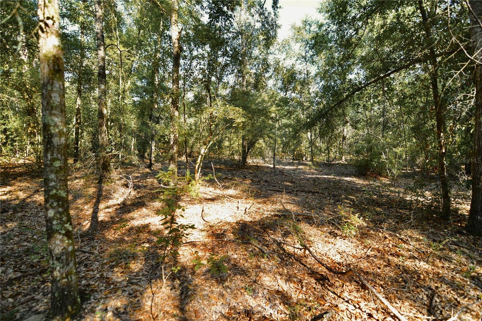 00 SW 40TH AVE, Jasper, FL 32052 00 SW 40TH AVE, Jasper, FL 32052