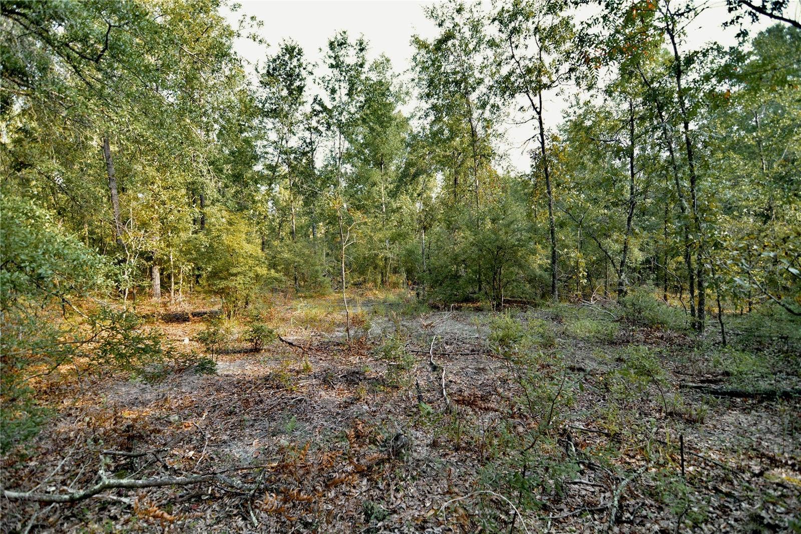 00 SW 40TH AVE, Jasper, FL 32052 00 SW 40TH AVE, Jasper, FL 32052