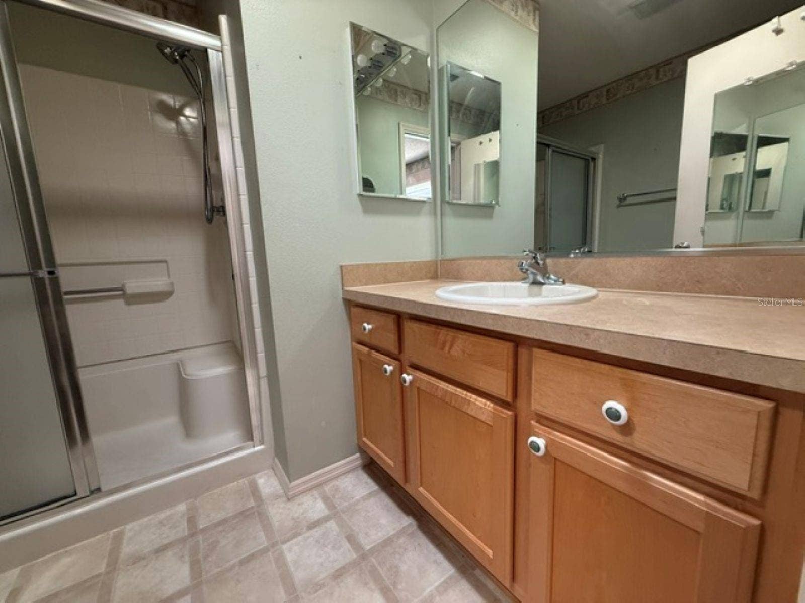 2459 LAUREL BAY LANE, The Villages, FL 32162 Primary Bathroom