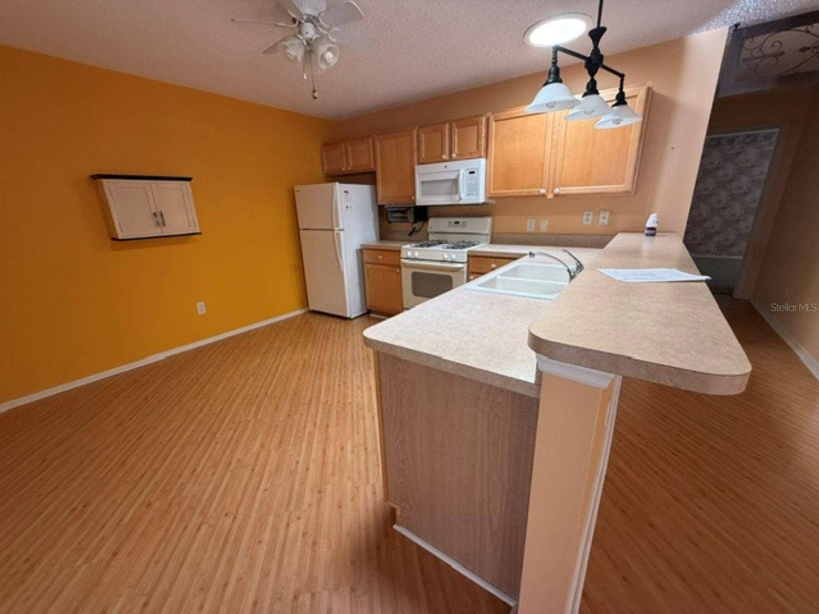 2459 LAUREL BAY LANE, The Villages, FL 32162 Kitchen