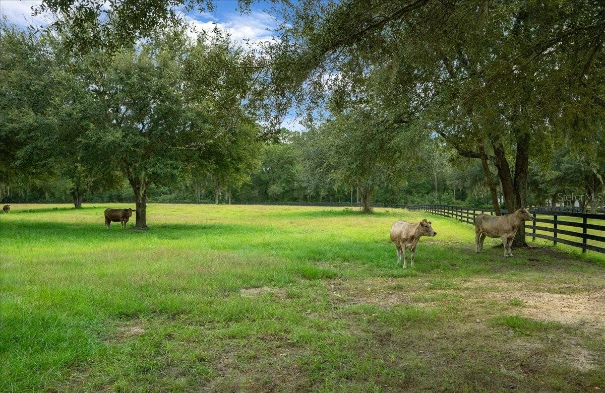 0 NW 150TH AVENUE, Ocala, FL 34482 0 NW 150TH AVENUE, Ocala, FL 34482
