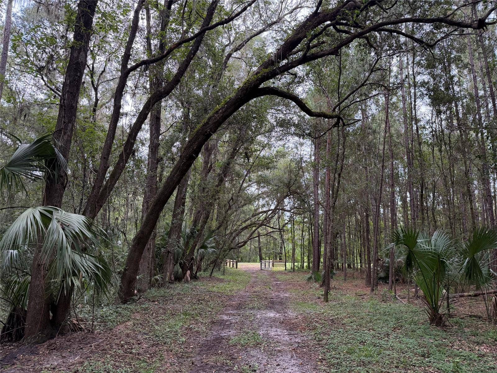 TBD NW 160TH ST, Reddick, FL 32686 TBD NW 160TH ST, Reddick, FL 32686