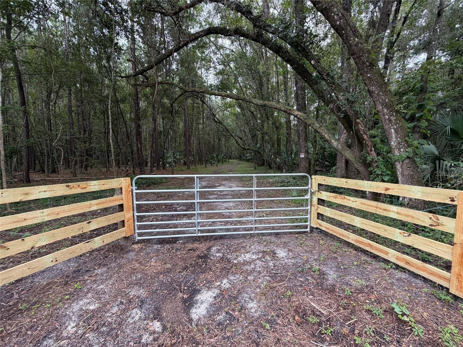 TBD NW 160TH ST, Reddick, FL 32686 TBD NW 160TH ST, Reddick, FL 32686