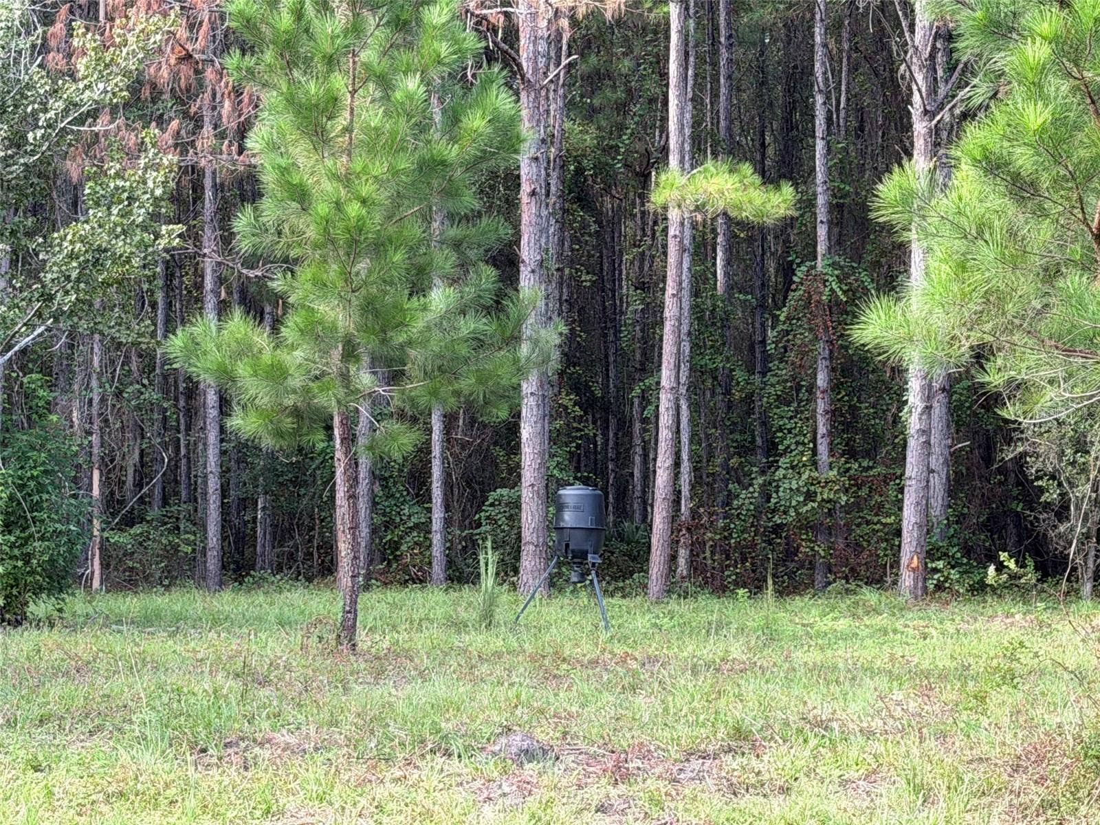TBD NW 160TH ST, Reddick, FL 32686 TBD NW 160TH ST, Reddick, FL 32686