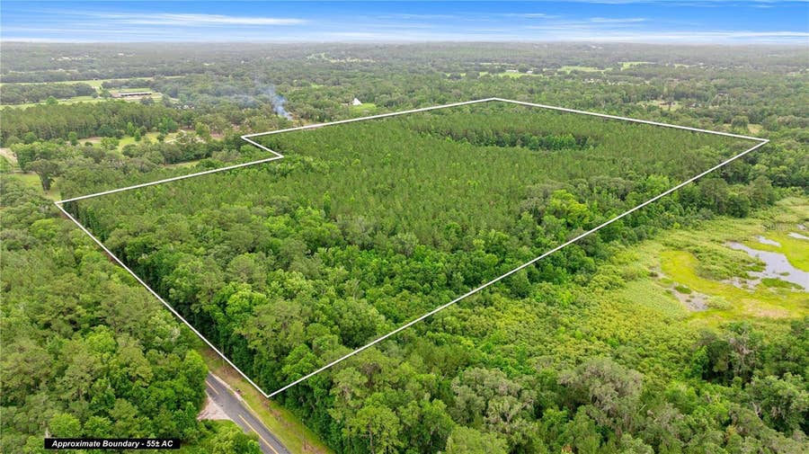 Property photo for TBD NW 160TH ST, Reddick, FL