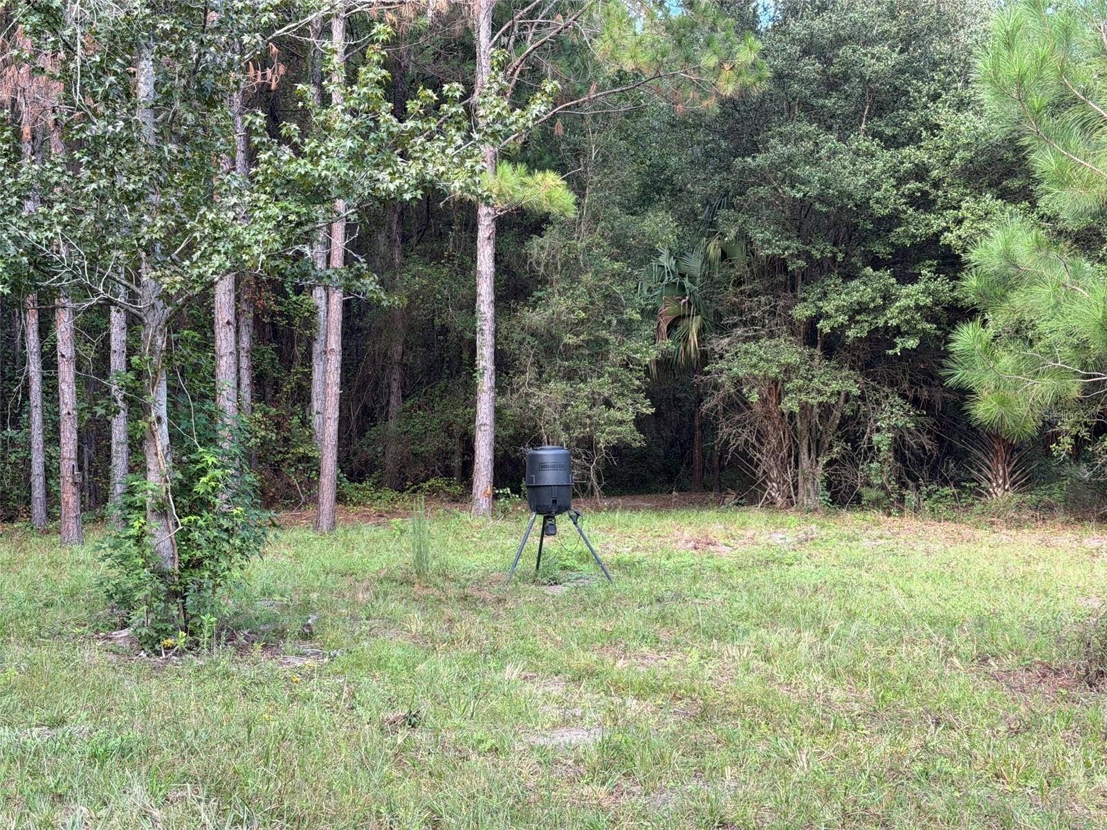 TBD NW 160TH ST, Reddick, FL 32686 TBD NW 160TH ST, Reddick, FL 32686