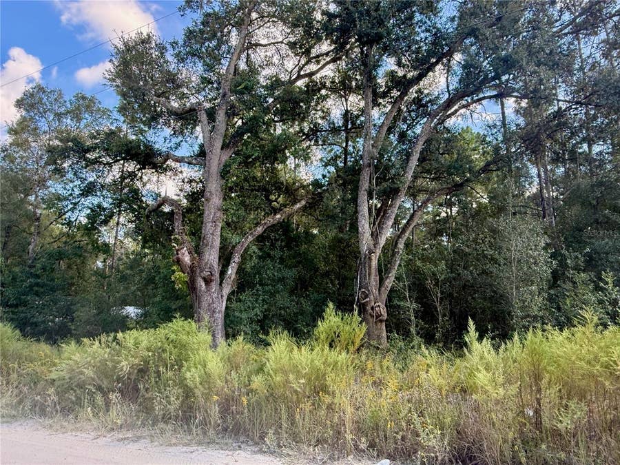 Property photo for 0 SW 16TH PLACE, Ocala, FL