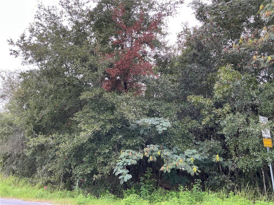 Property photo for LOT 1 PINE RADIAL RUN, Ocala, FL