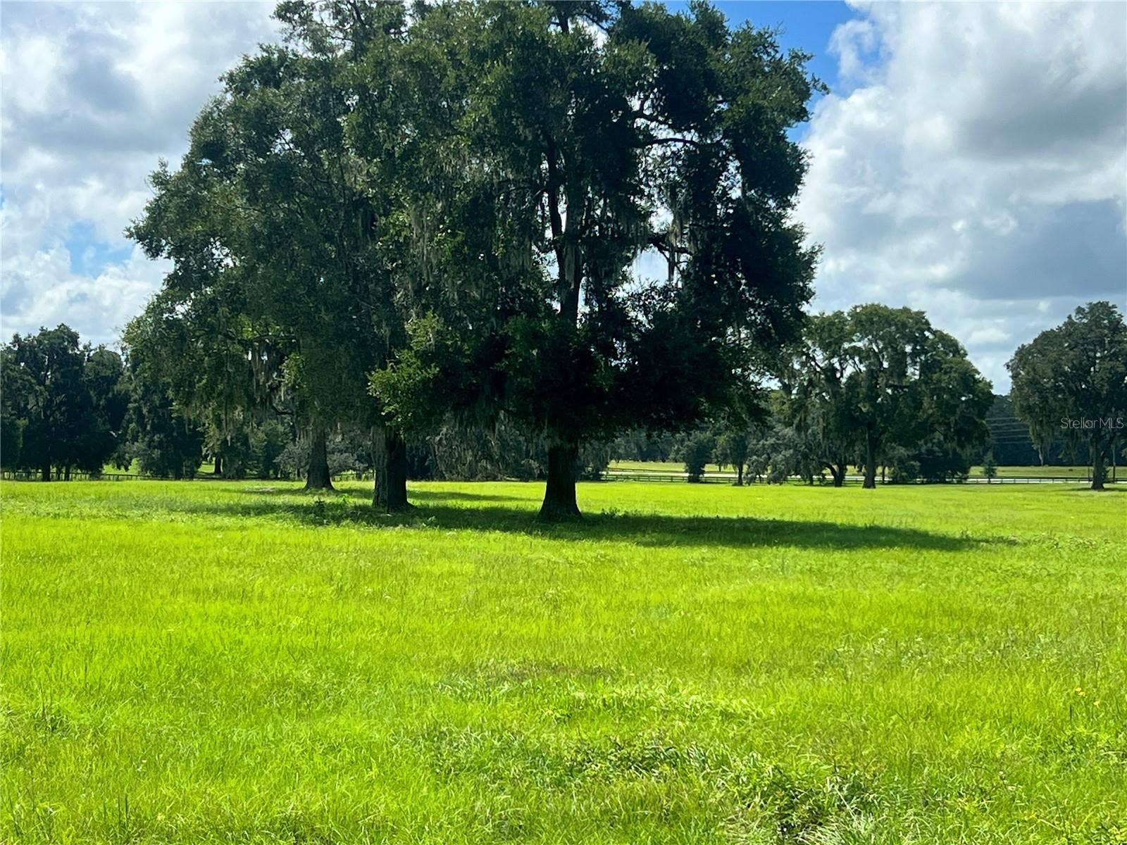TBD NW 464B HIGHWAY, Morriston, FL 32668 TBD NW 464B HIGHWAY, Morriston, FL 32668