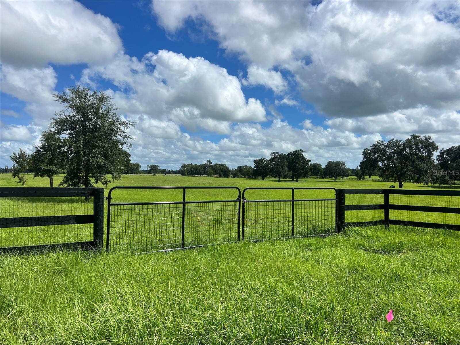 TBD NW 464B HIGHWAY, Morriston, FL 32668 TBD NW 464B HIGHWAY, Morriston, FL 32668