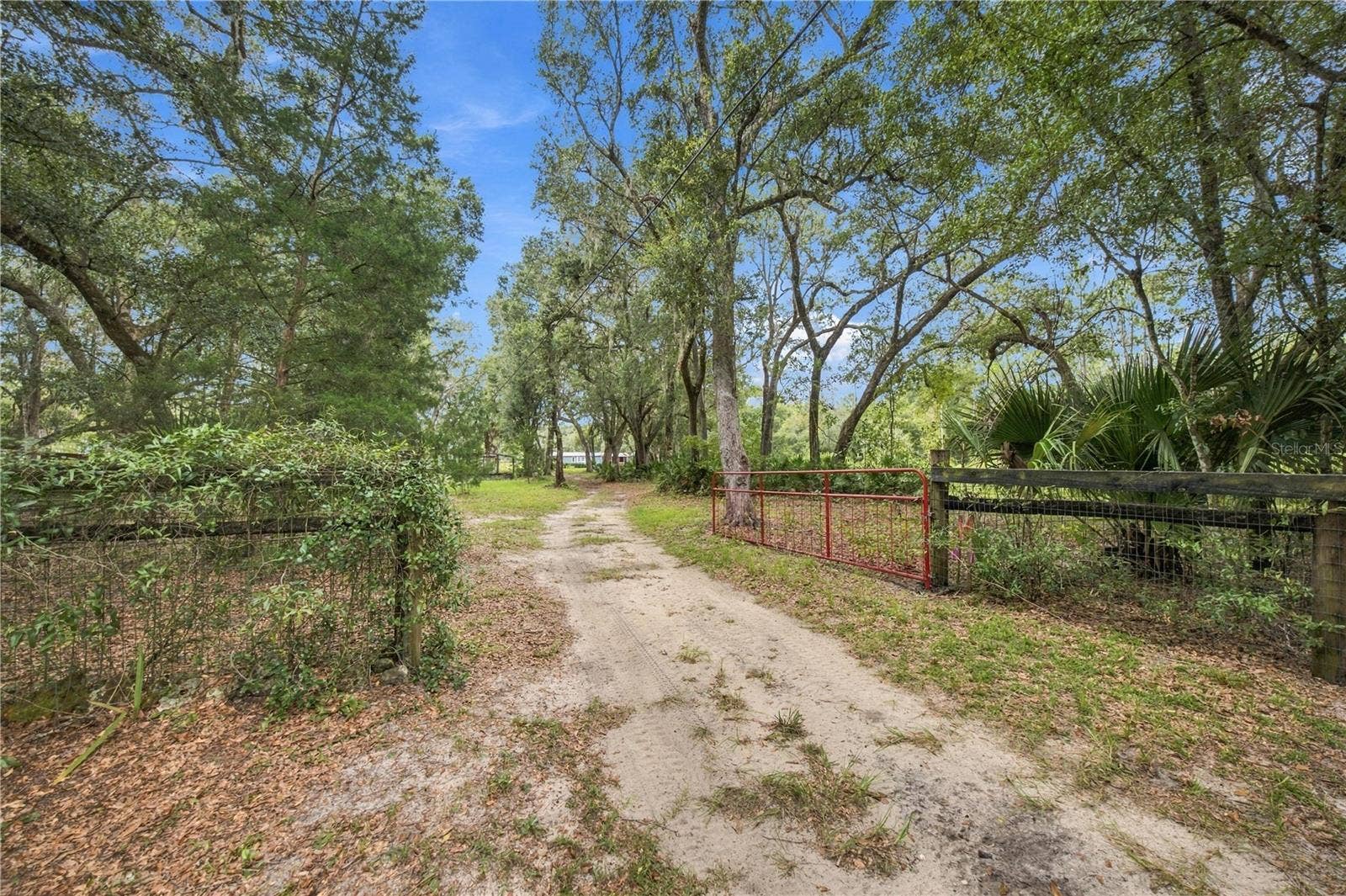 14468 NE 150TH AVENUE, Fort Mc Coy, FL 32134 14468 NE 150TH AVENUE, Fort Mc Coy, FL 32134