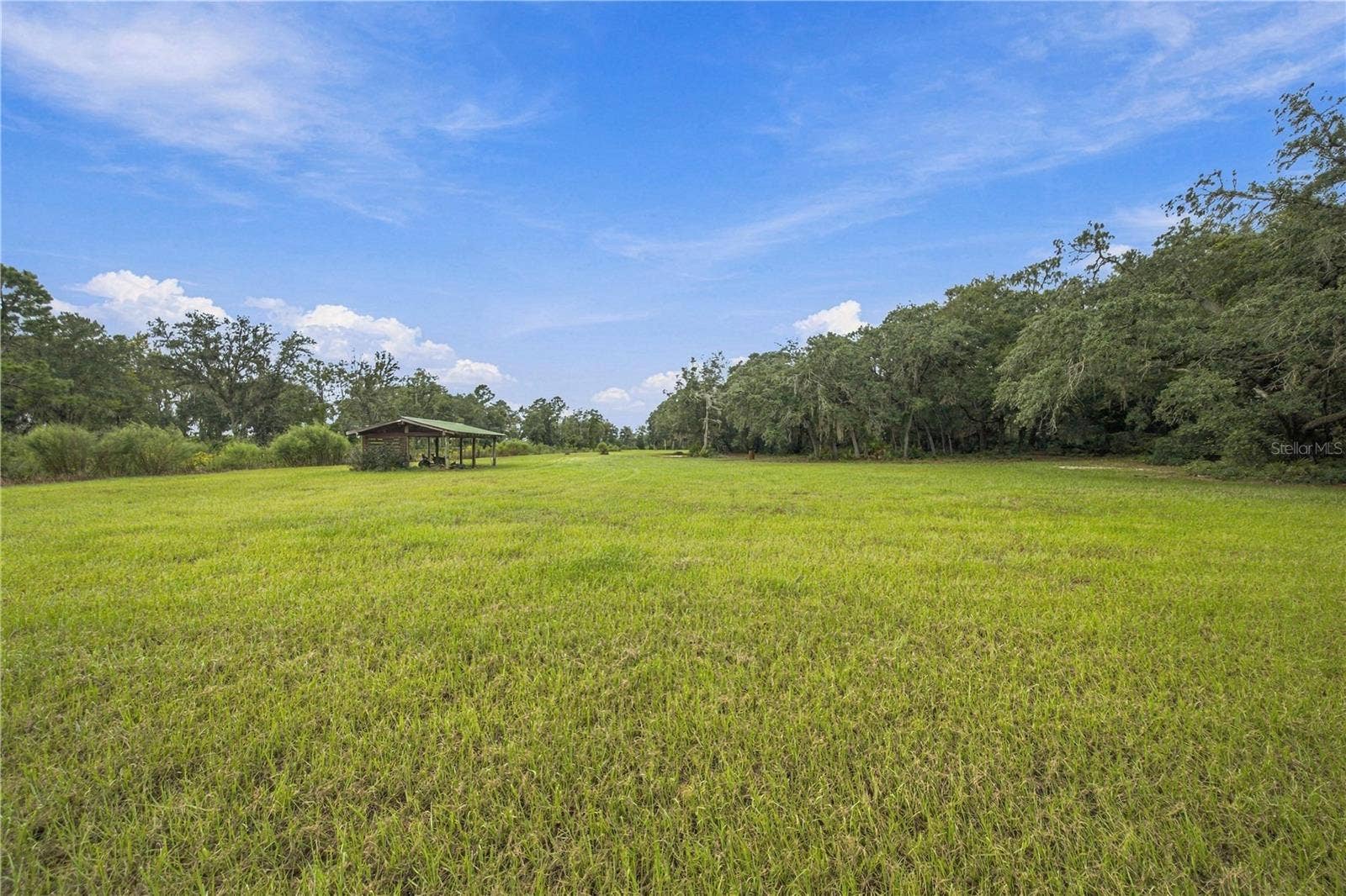 14468 NE 150TH AVENUE, Fort Mc Coy, FL 32134 14468 NE 150TH AVENUE, Fort Mc Coy, FL 32134