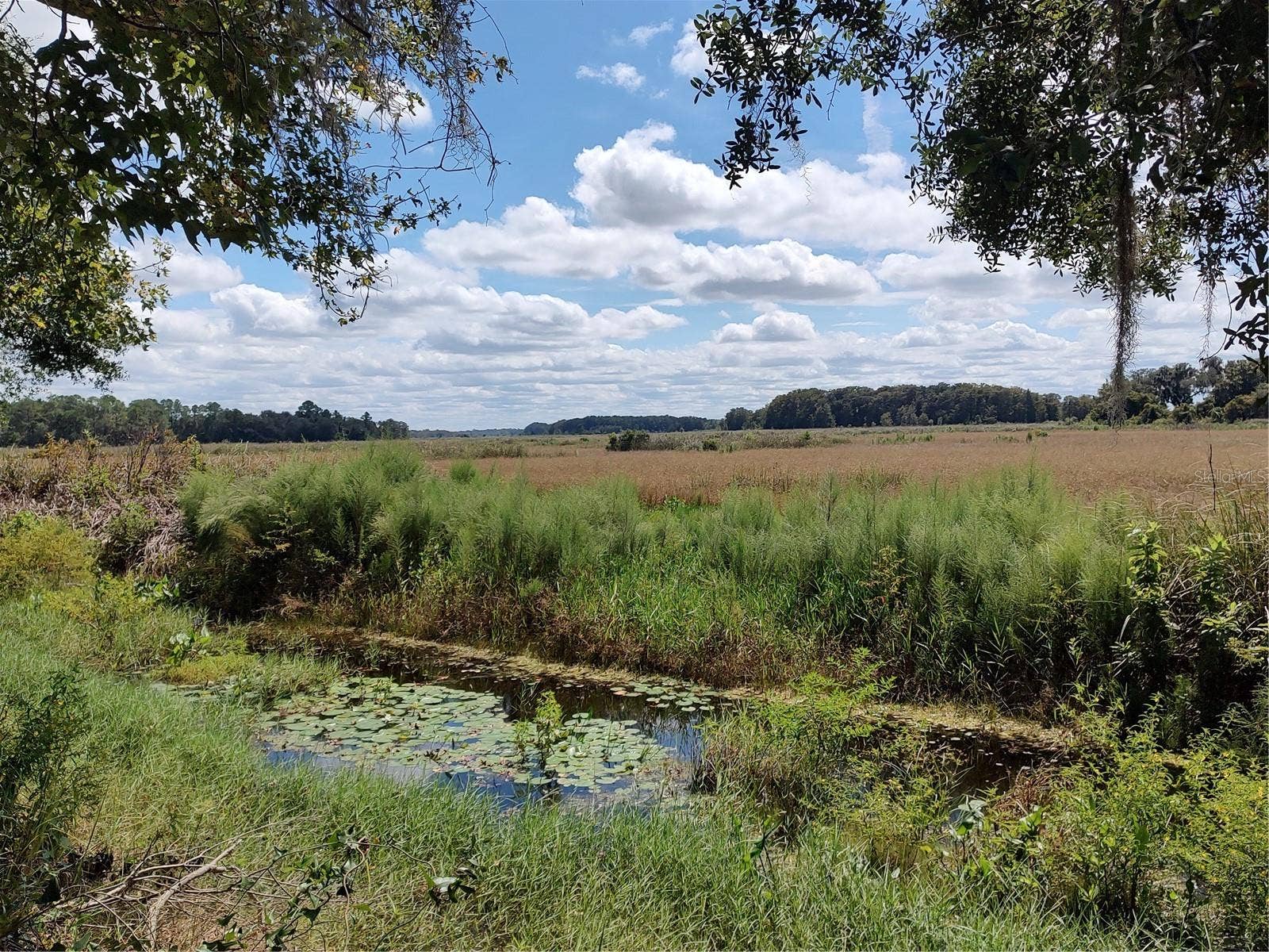6090 N BAYFRONT DRIVE, Hernando, FL 34442 6090 N. Bayfront Dr. Hernando
