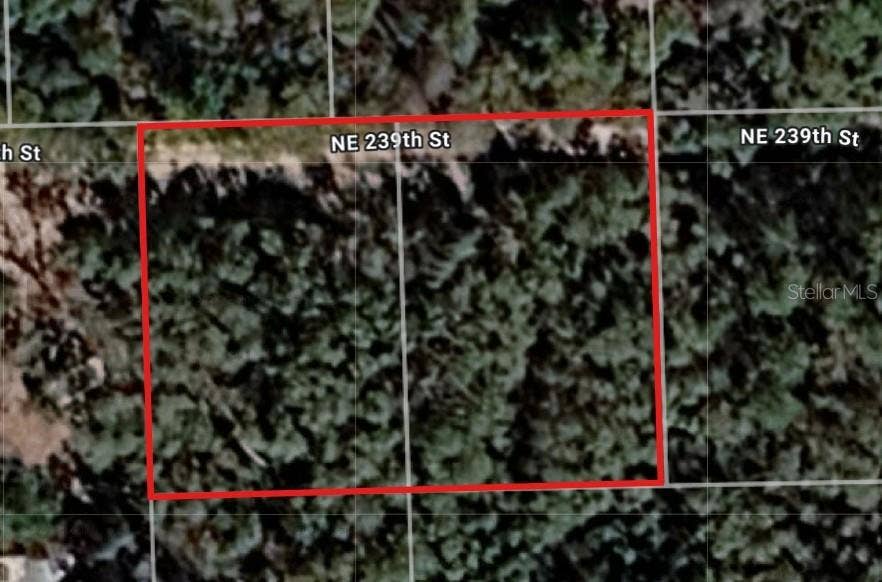 Property photo for Lot 18 & 19 NE 239TH STREET, Fort Mc Coy, FL