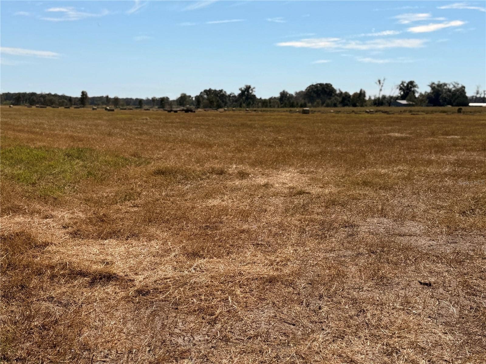 0 85TH ROAD, O'brien, FL 32071 0 85TH ROAD, O'brien, FL 32071