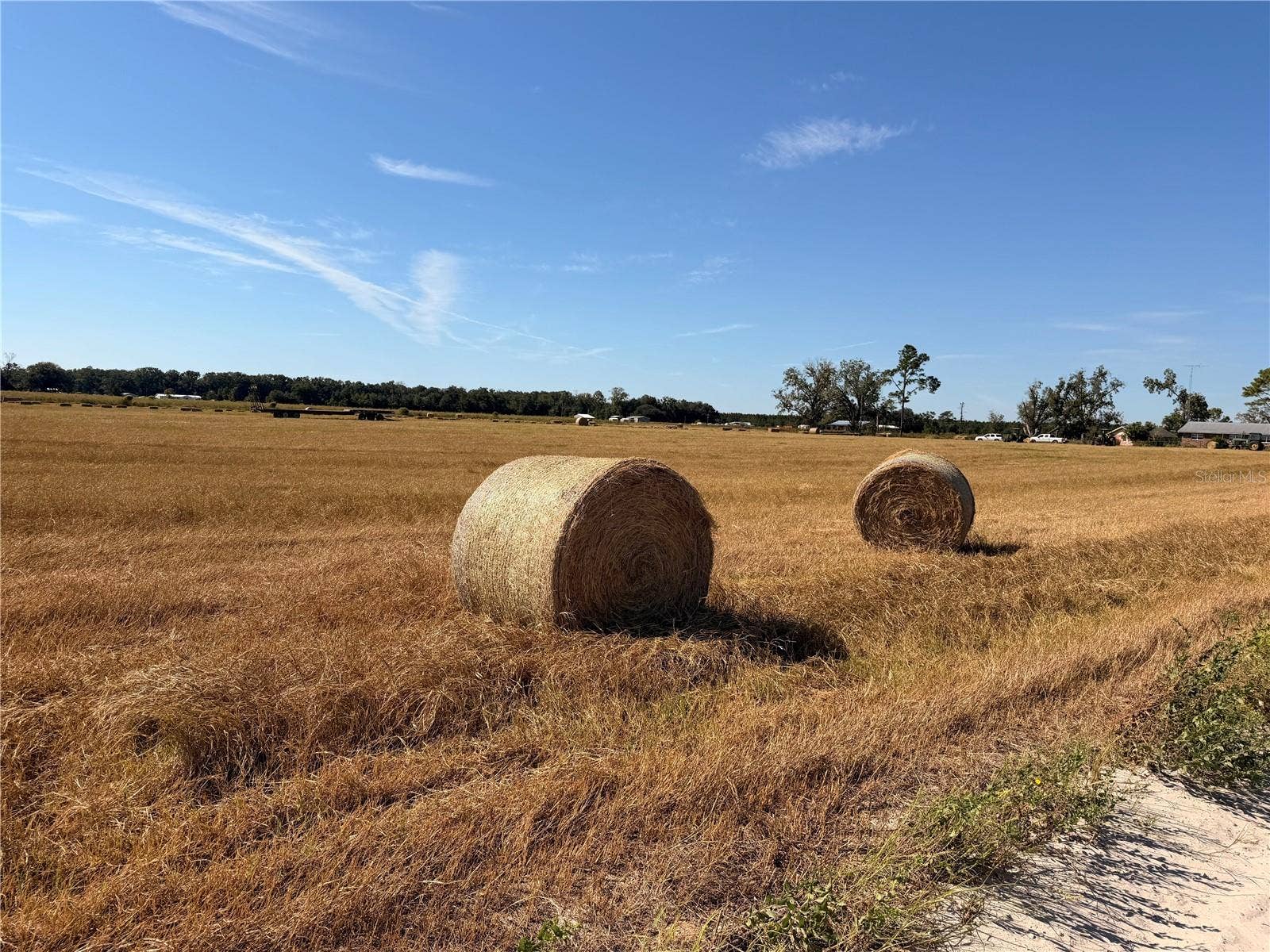 0 85TH ROAD, O'brien, FL 32071 0 85TH ROAD, O'brien, FL 32071