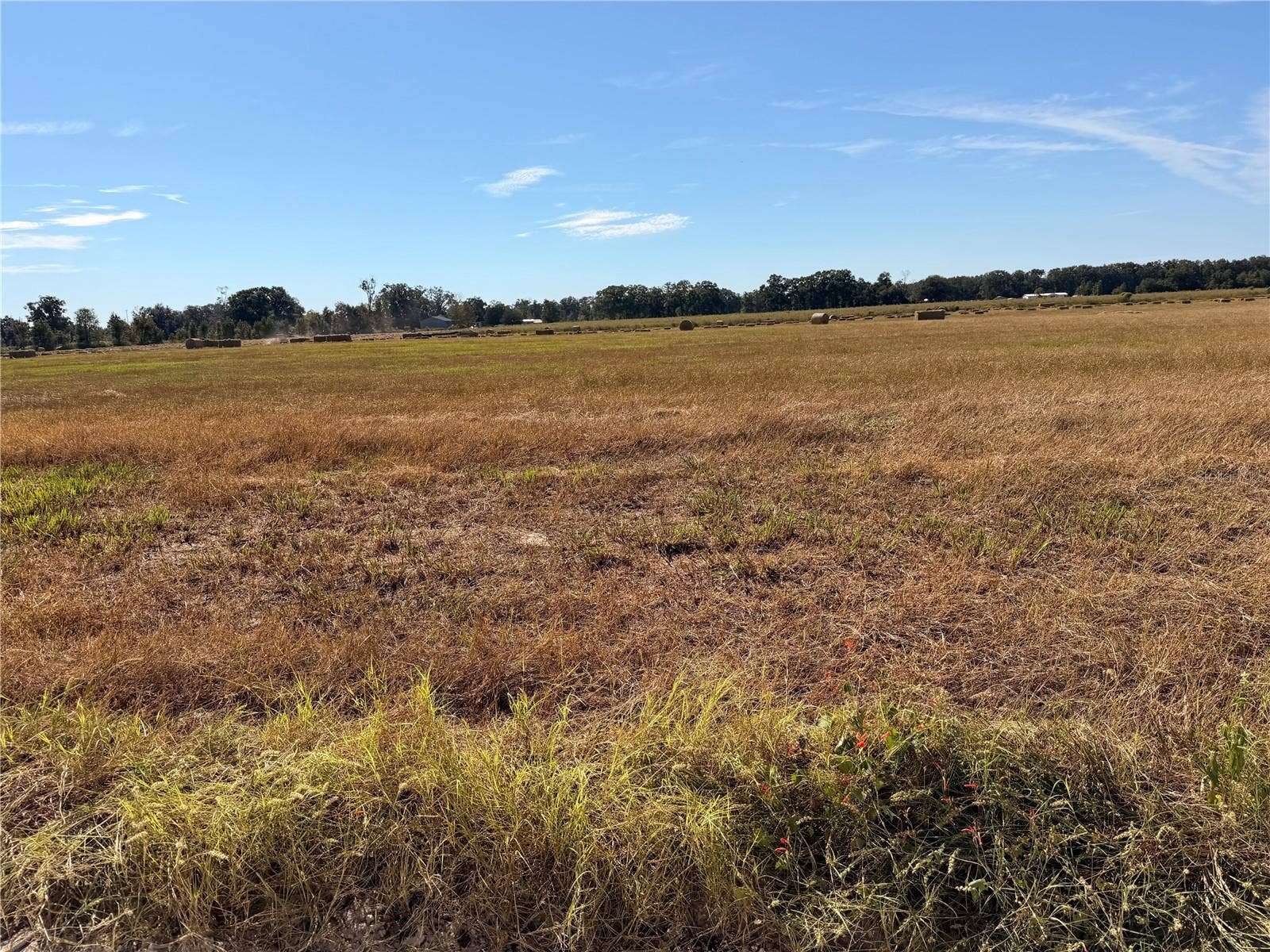 0 85TH ROAD, O'brien, FL 32071 0 85TH ROAD, O'brien, FL 32071