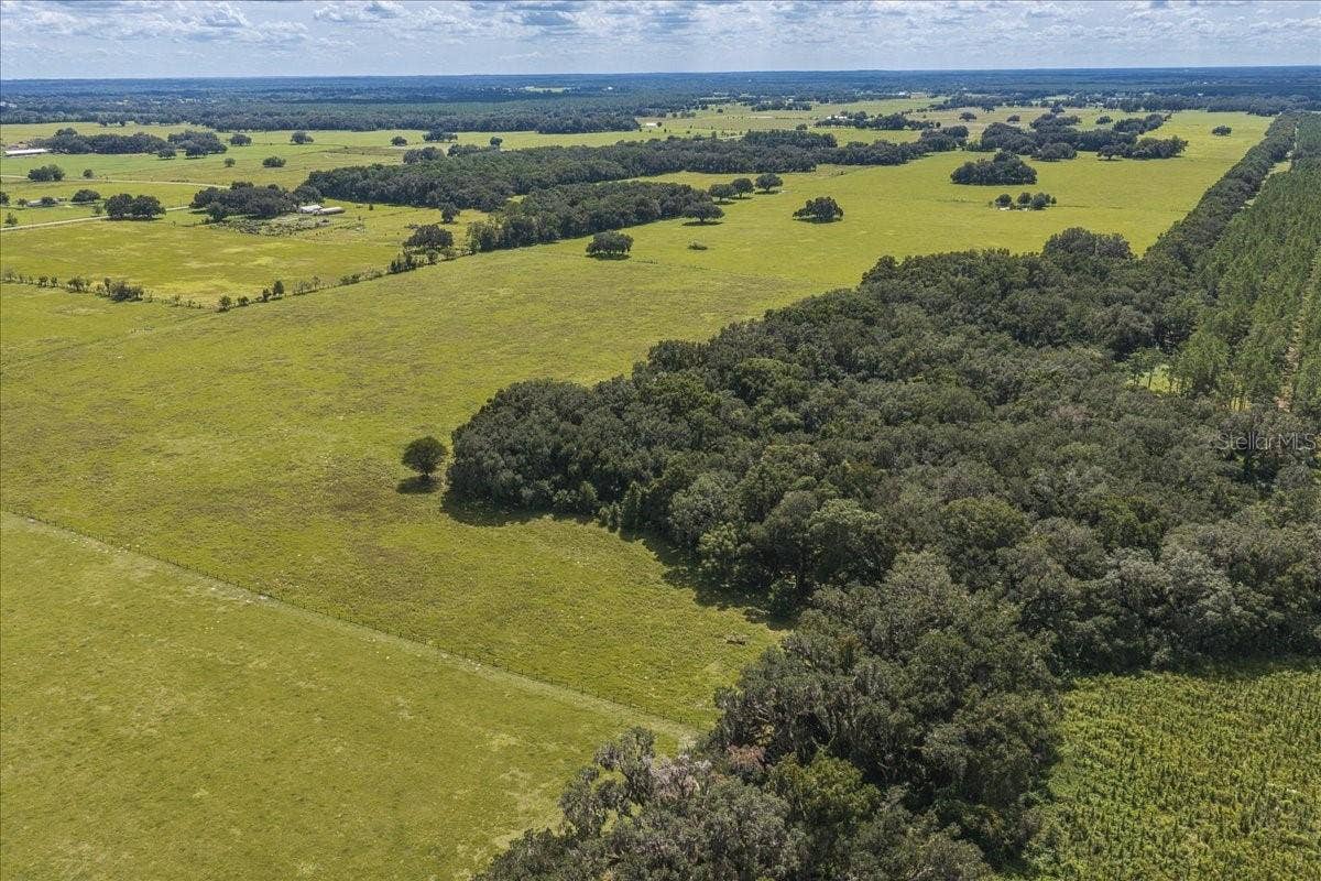 SE 215TH AVENUE, Morriston, FL 32668