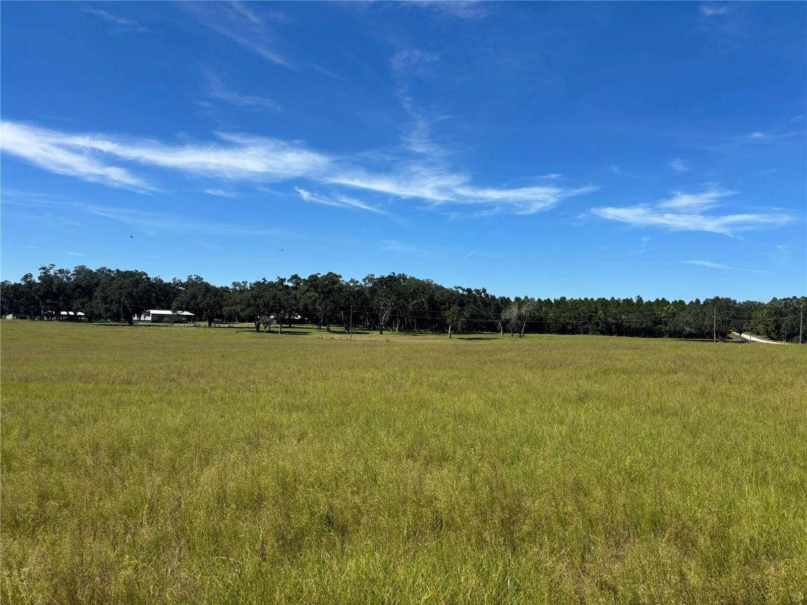 SE 215TH AVENUE, Morriston, FL 32668
