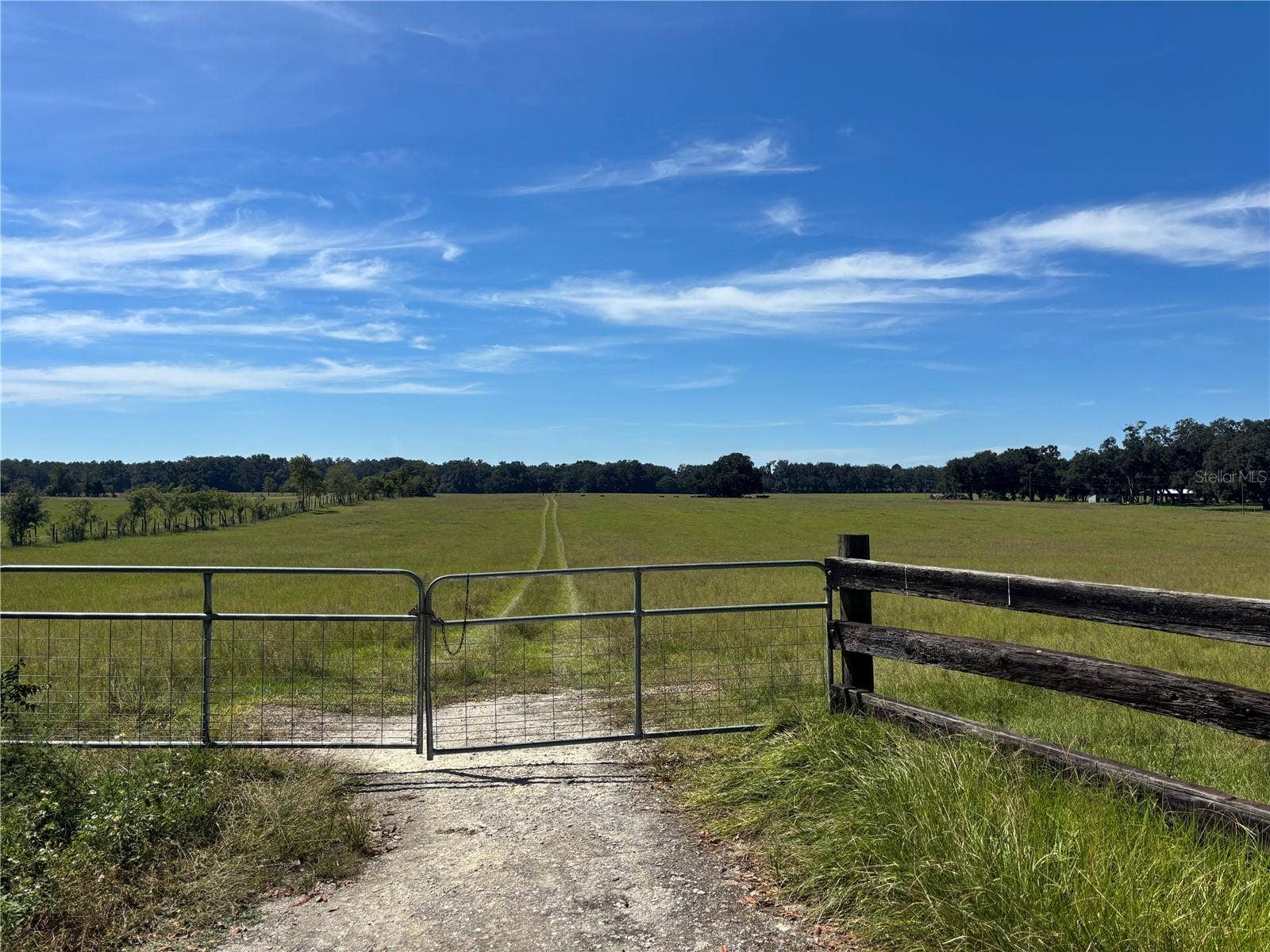 SE 215TH AVENUE, Morriston, FL 32668