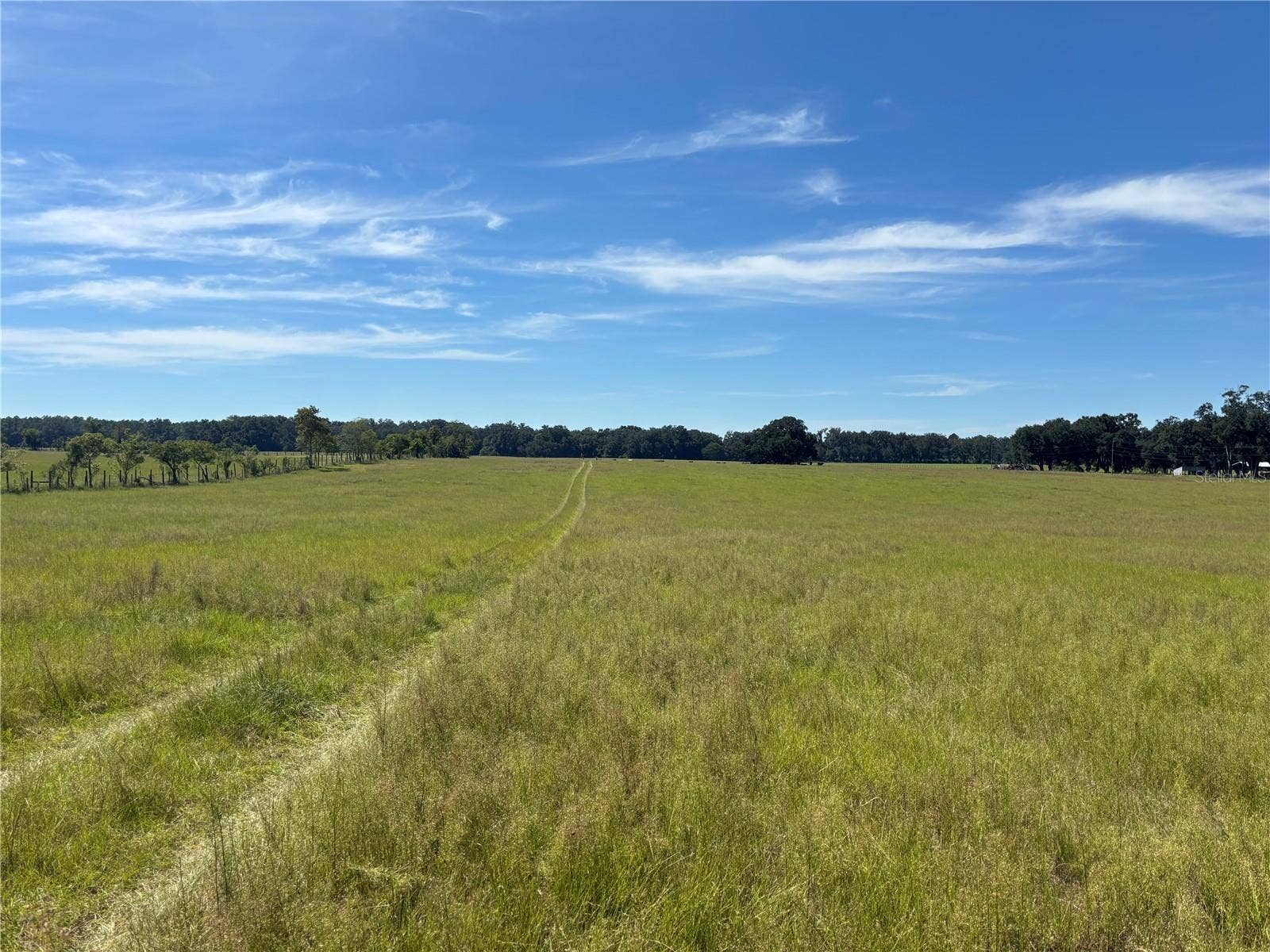 SE 215TH AVENUE, Morriston, FL 32668