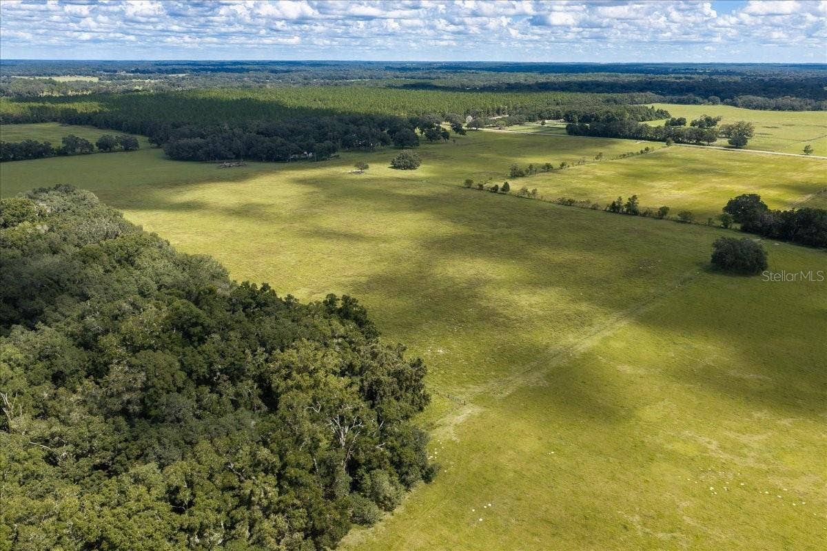 SE 215TH AVENUE, Morriston, FL 32668
