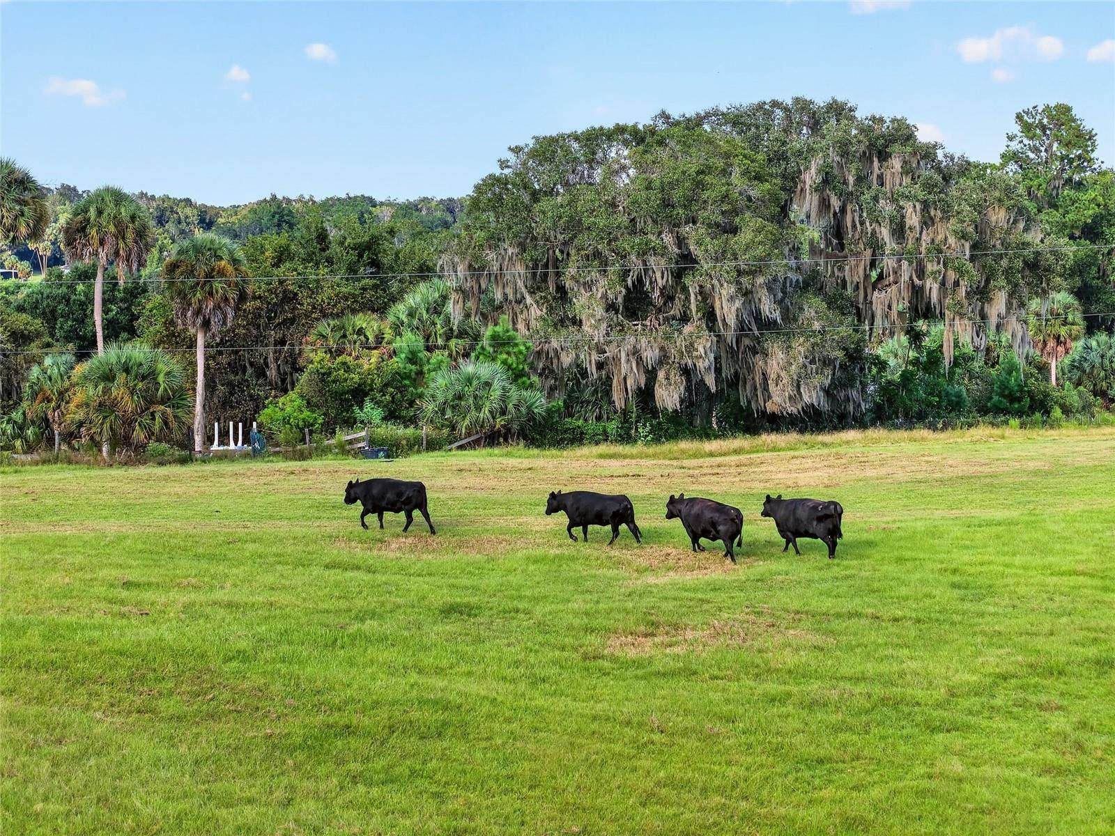 6994 NW HIGHWAY 320, Micanopy, FL 32667