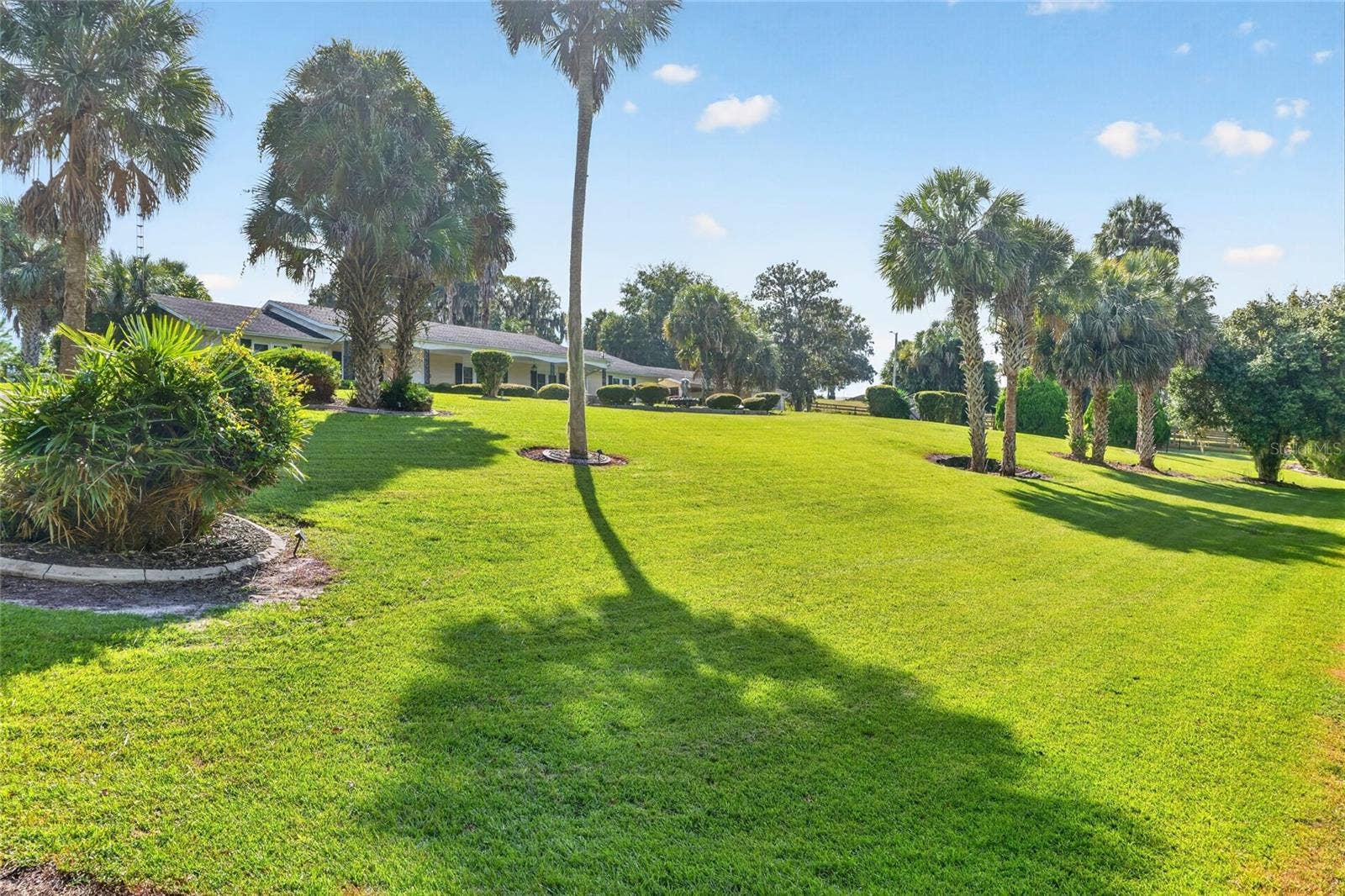 6994 NW HIGHWAY 320, Micanopy, FL 32667