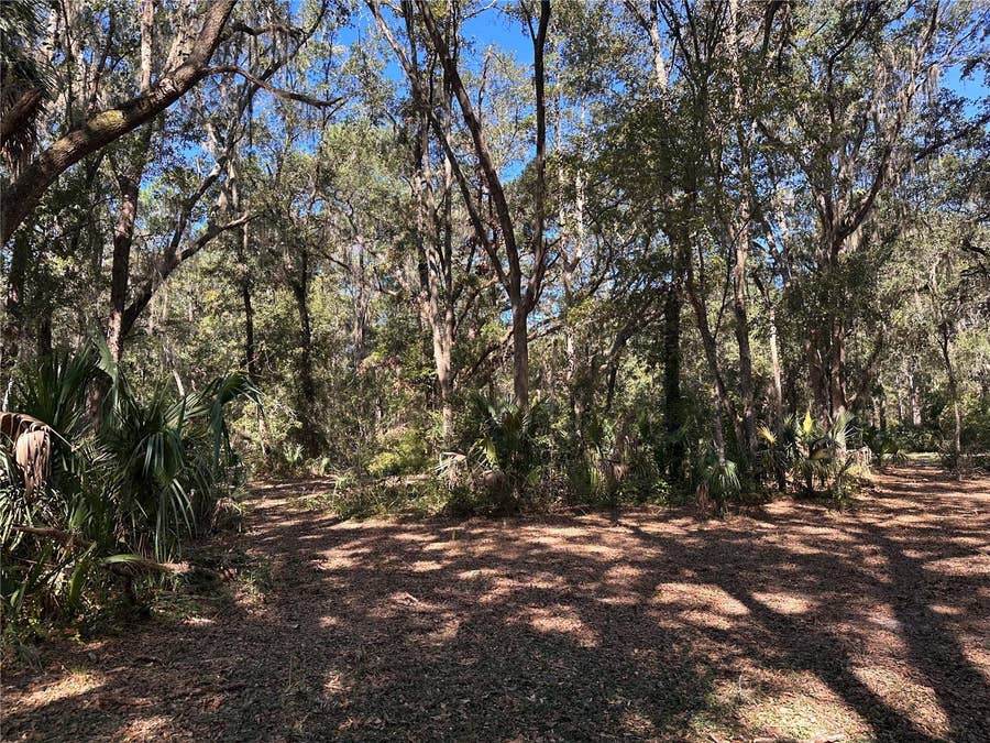 Property photo for 11660 NE 225TH STREET, Fort Mc Coy, FL