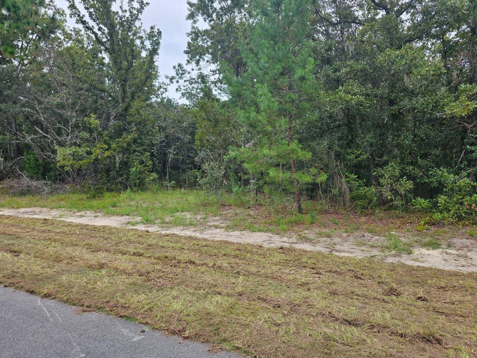 TBA SE 56TH CT., Ocala, FL 34473 Lot is 120 ft of road frontage and 200 feet deep.
