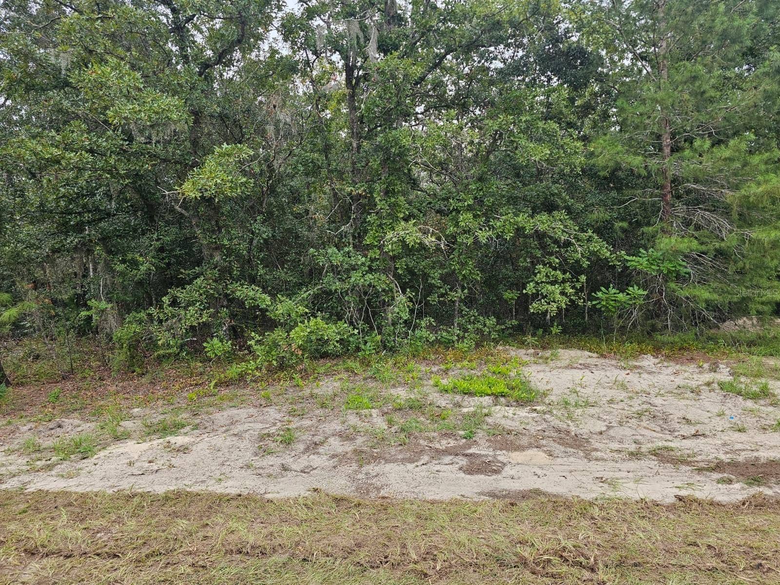 TBA SE 56TH CT., Ocala, FL 34473 wooded lot
