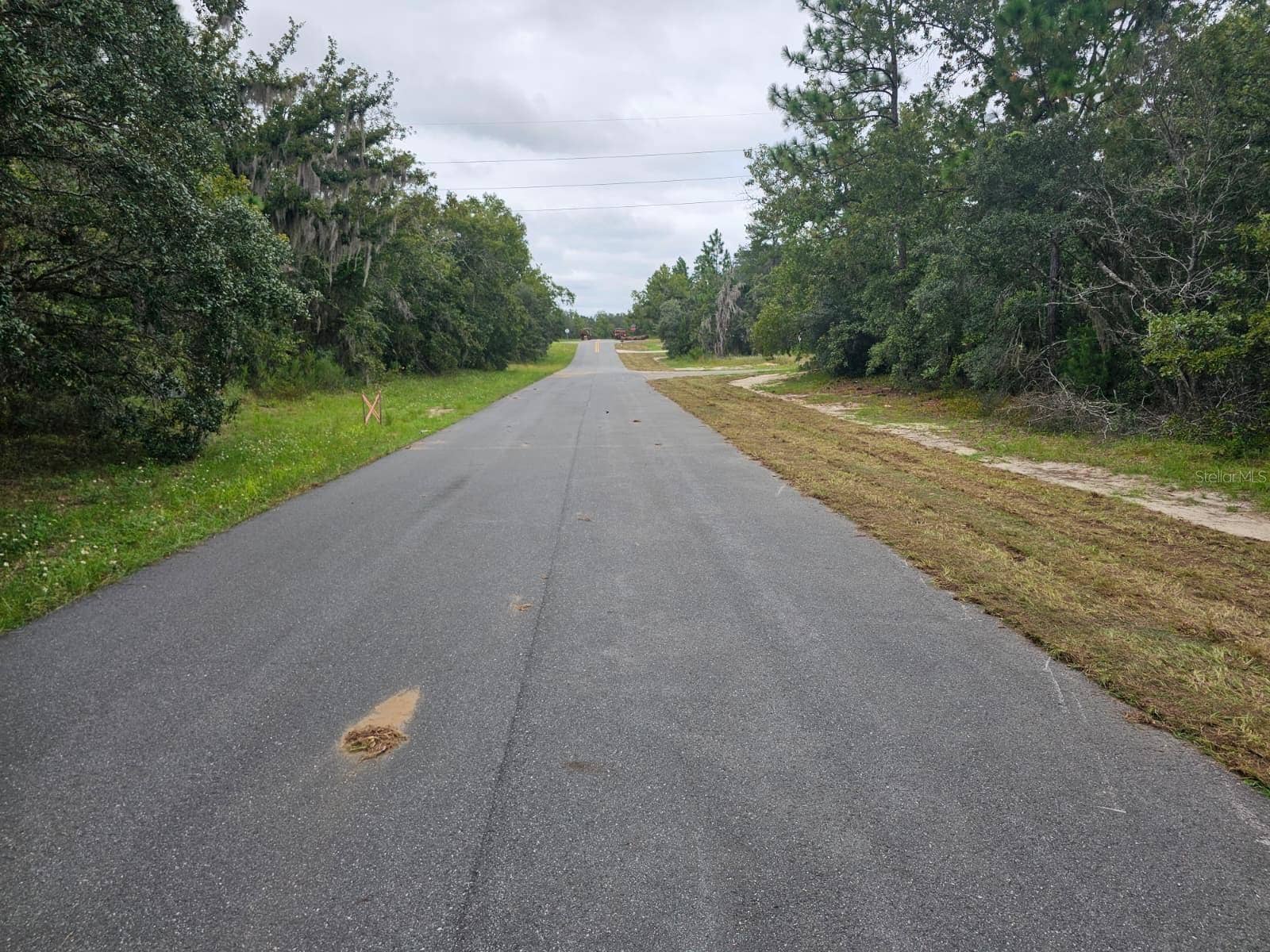 TBA SE 56TH CT., Ocala, FL 34473 Lot is on my right and you are looking down the street. The street to the right is the Alley Road.