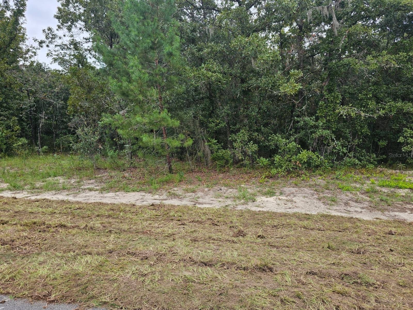 TBA SE 56TH CT., Ocala, FL 34473 TBA SE 56TH CT., Ocala, FL 34473