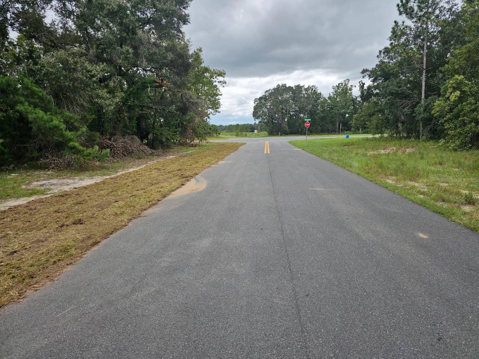 TBA SE 56TH CT., Ocala, FL 34473 Lot is on my left. You are looking at the intersection of Marion Oaks Manor at the stop sign.