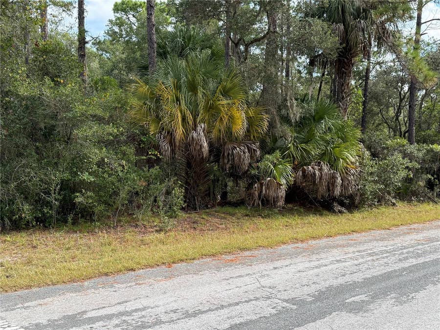 Property photo for 8941 N STAR BLAZE DRIVE, #2, Crystal River, FL