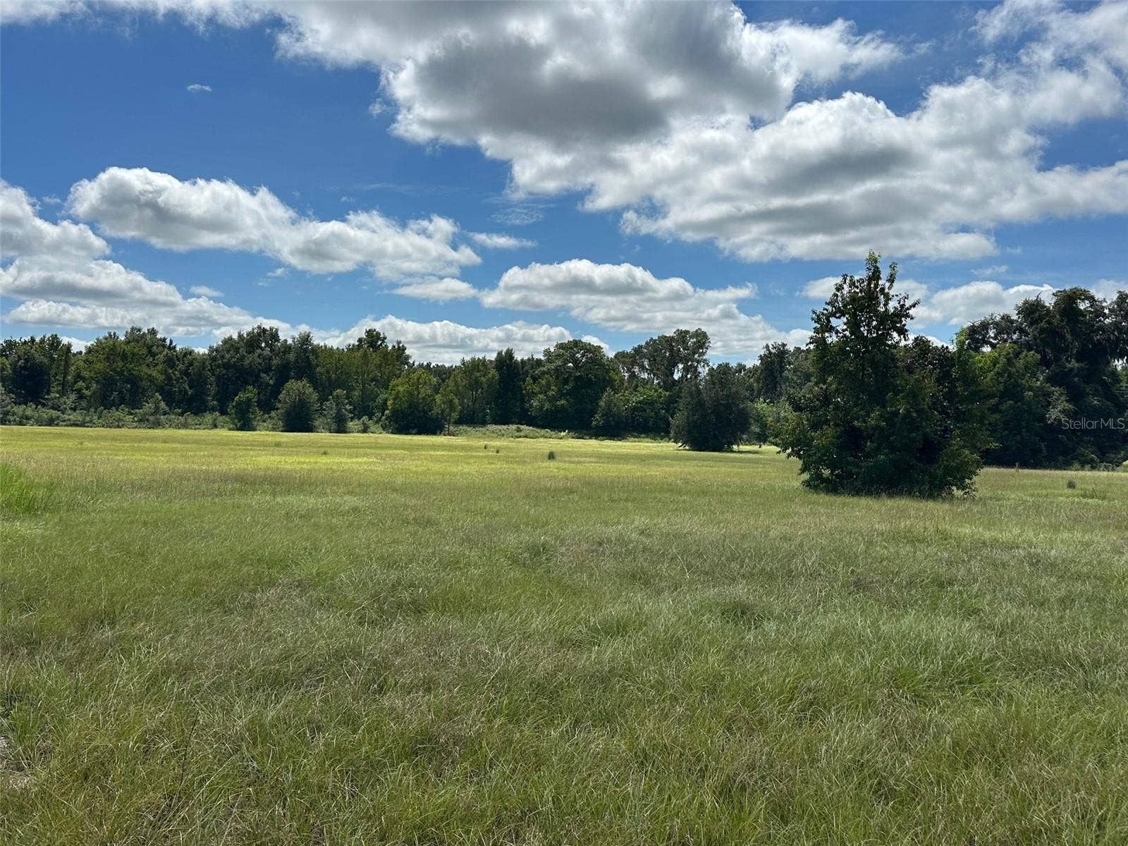 0 SE 116 PLACE, Ocala, FL 34480 0 SE 116 PLACE, Ocala, FL 34480