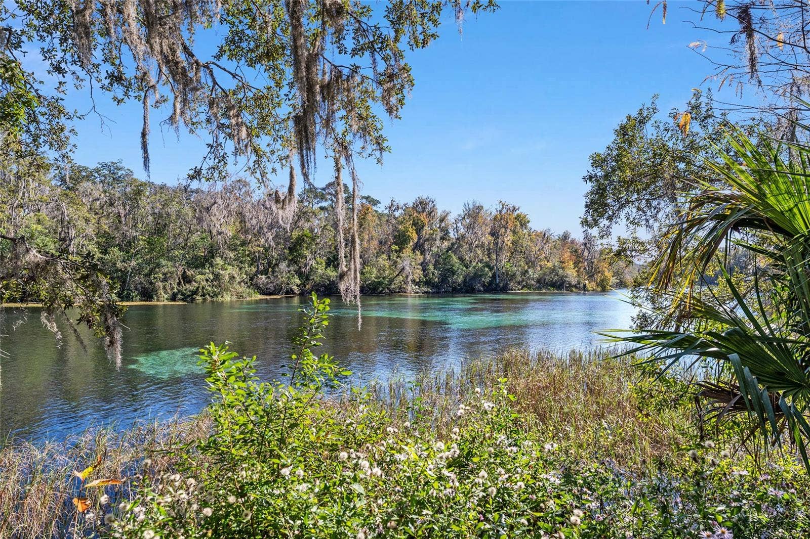 19447 SW 98TH PLACE ROAD, Dunnellon, FL 34432 19447 SW 98TH PLACE ROAD, Dunnellon, FL 34432