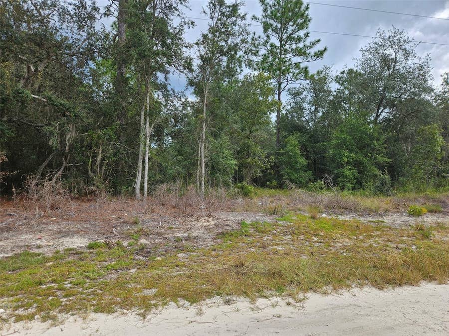 Property photo for 0000 NE 67TH STREET, Bronson, FL
