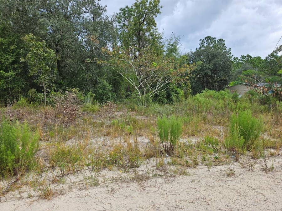 Property photo for 0000 NE 67TH STREET, Bronson, FL