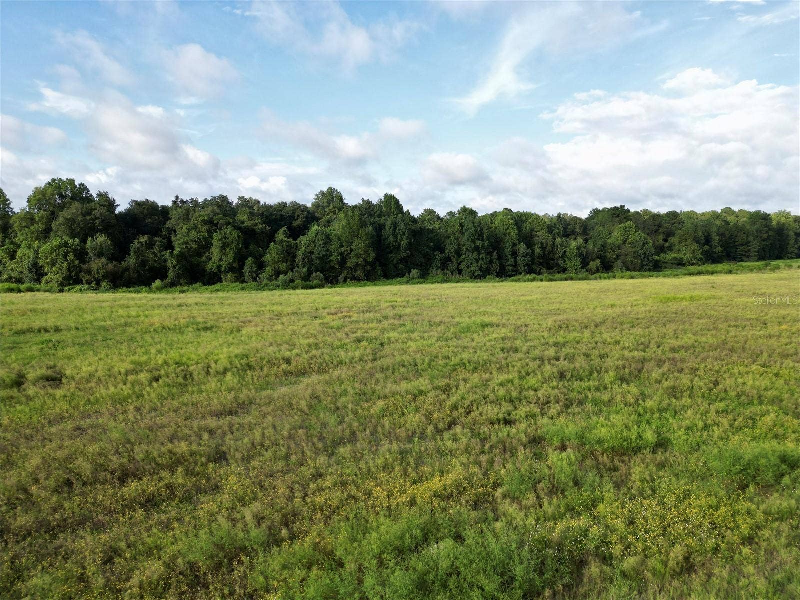 Lot 4B E HWY 318, Fort Mc Coy, FL 32134 Lot 4B E HWY 318, Fort Mc Coy, FL 32134