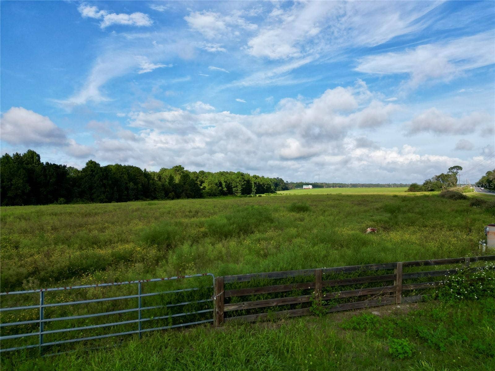 Lot 4B E HWY 318, Fort Mc Coy, FL 32134 Lot 4B E HWY 318, Fort Mc Coy, FL 32134
