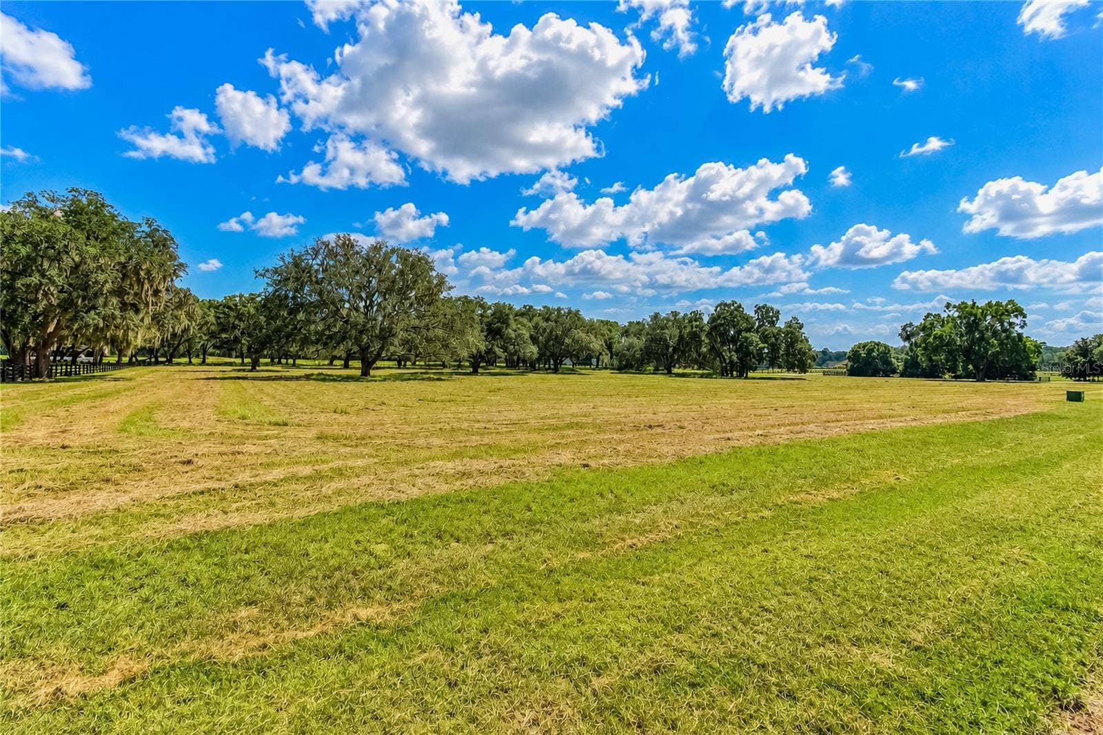 TBD SW 104 STREET ROAD, Ocala, FL 34476 TBD SW 104 STREET ROAD, Ocala, FL 34476